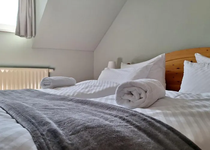 Hotel Ross *